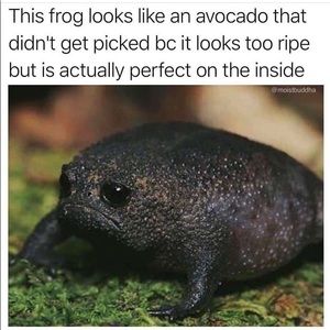 Meet your Posher, Valerie